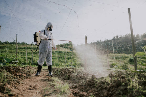 Best Pest Prevention Services  in St Anne, IL