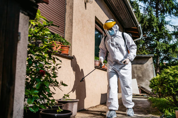 Best Affordable Pest Control Services  in St Anne, IL