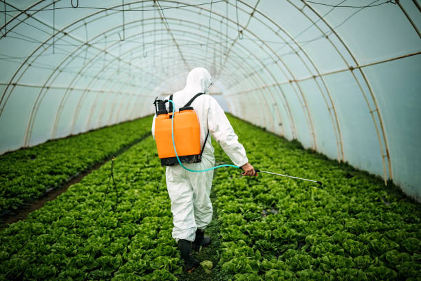 Best Mosquito Control Services  in St Anne, IL