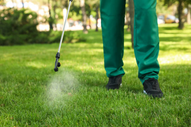 Professional Pest Control in St Anne, IL