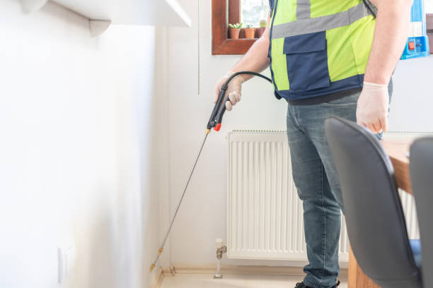 Best Termite Control Services  in St Anne, IL