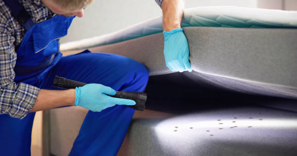Best Ant Control Services  in St Anne, IL