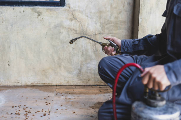 Best Pest Prevention Services  in St Anne, IL